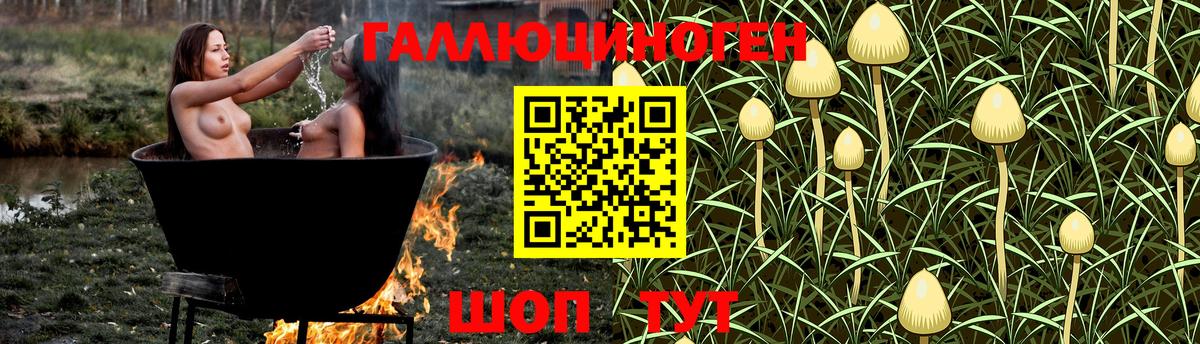 Бутурлиновка  Галлюциногенные грибы ЛСД  Вход с VPN 
